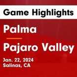 Soccer Game Preview: Palma vs. Pajaro Valley
