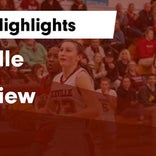 Basketball Game Preview: Niceville Eagles vs. Milton Panthers