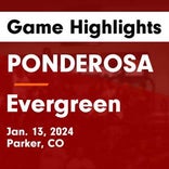 Basketball Recap: Evergreen falls despite strong effort from  Rob Beldock