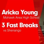 Softball Recap: Aricka Young can't quite lead Mohawk Area over Neshannock