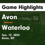 Basketball Game Preview: Waterloo Tigers vs. Lyons Lions