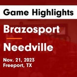 Needville suffers sixth straight loss on the road