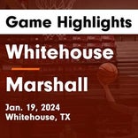 Basketball Game Recap: Whitehouse Wildcats vs. McKinney North Bulldogs