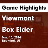 Basketball Game Preview: Box Elder Bees vs. Viewmont Vikings