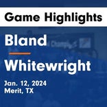 Basketball Game Preview: Bland Tigers vs. Celeste Blue Devils