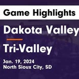 Basketball Game Preview: Dakota Valley Panthers vs. Vermillion Tanagers