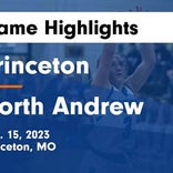 Basketball Game Preview: Princeton Tigers vs. Green City Gophers