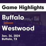 Basketball Game Preview: Buffalo Bison vs. Mexia Black Cats