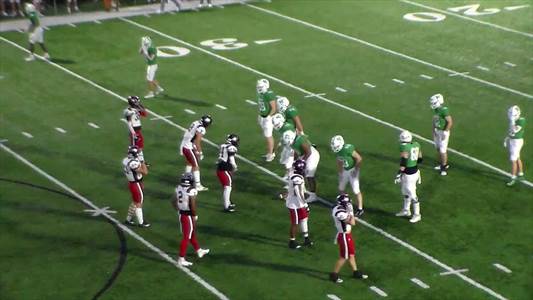 Baseball Game Preview: Many Tigers vs. Mansfield Wolverines