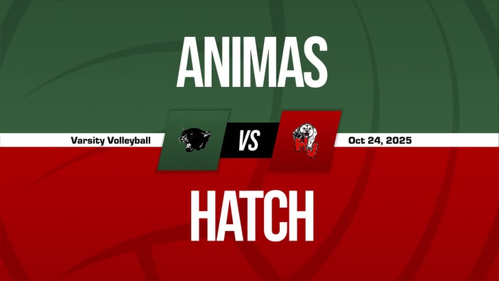 Volleyball Recap: Animas Comes Up Short
