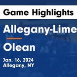 Basketball Game Recap: Allegany-Limestone Gators vs. Wilson Lakemen