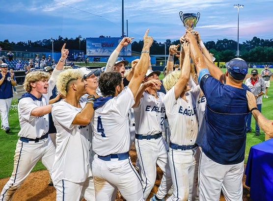 High school baseball: 2023 state champions