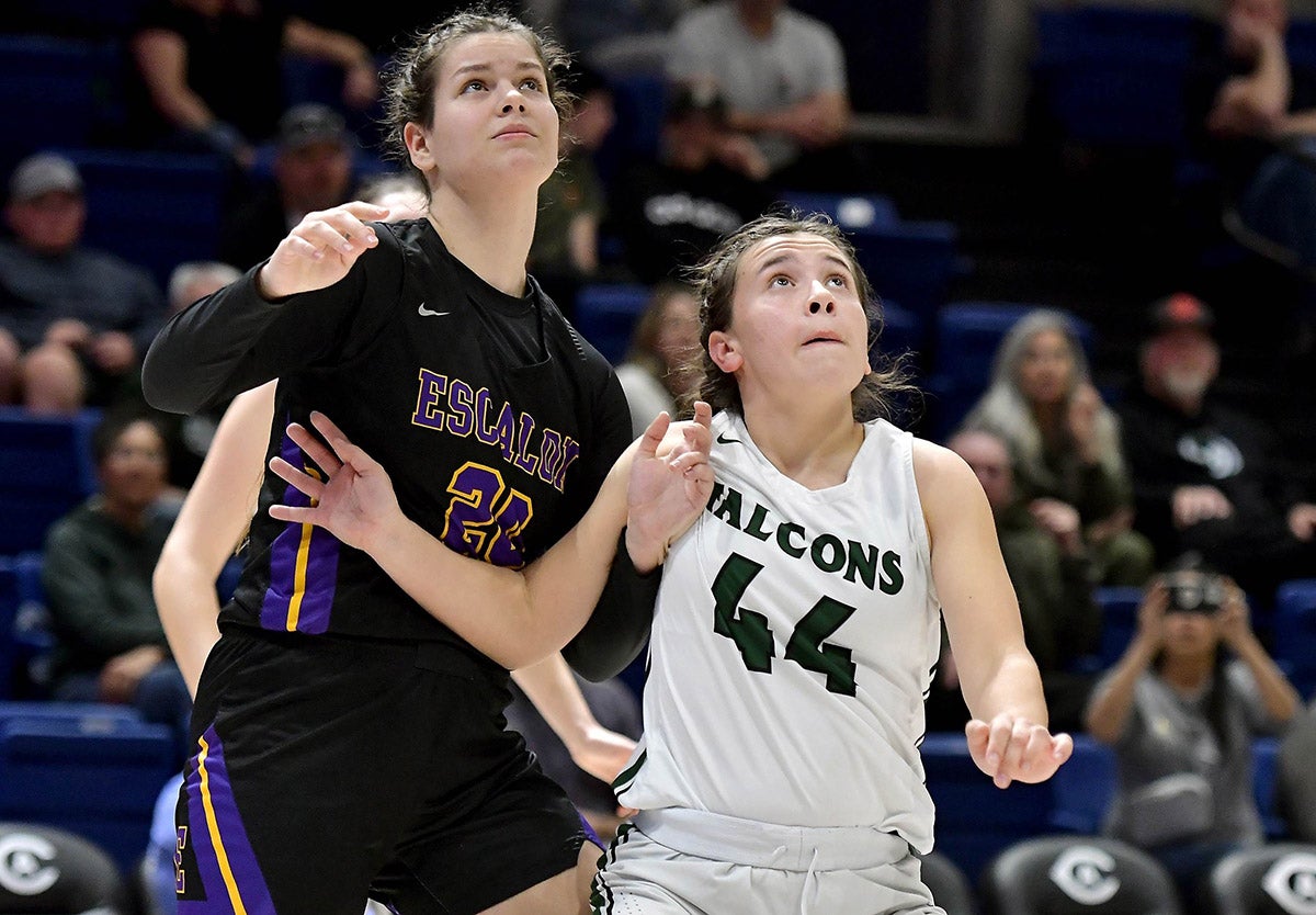 Colfax freshman Maya Smiley (44), averages more rebounds than points for the basketball squad. Smiley helped the basketball and soccer teams each win a section crown within 15 hours of each other. (Photo: David Steutel)
