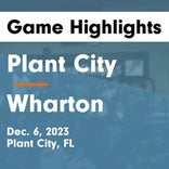 Wharton finds playoff glory versus Pinellas Park