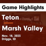 Basketball Game Preview: Firth Cougars vs. Marsh Valley Eagles