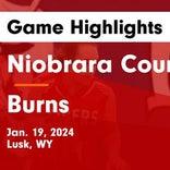 Basketball Game Recap: Niobrara County Tigers vs. Pine Bluffs Hornets