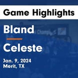 Basketball Game Recap: Celeste Blue Devils vs. Wolfe City Wolves