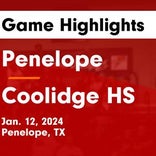 Basketball Game Preview: Penelope Wolverines vs. Coolidge Yellowjackets