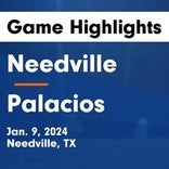 Soccer Game Recap: Needville vs. Royal
