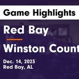 Basketball Game Recap: Red Bay Tigers vs. Winston County Yellowjackets