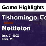Basketball Game Preview: Nettleton Tigers vs. Ingomar Falcons