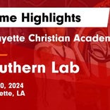 Southern Lab vs. Phoenix