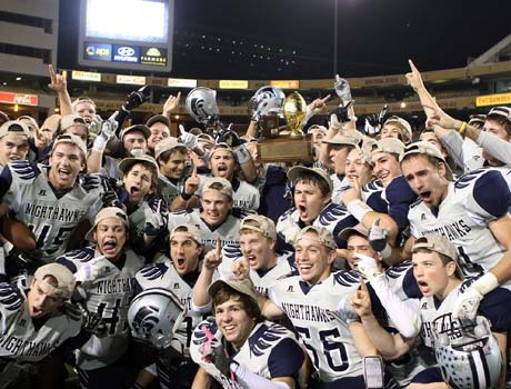 Ironwood Ridge players celebrate after winning the Division 2 championship on Saturday.