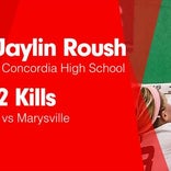 Softball Recap: Jaylin Roush can't quite lead Concordia over Beloit