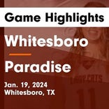 Basketball Game Preview: Paradise Panthers vs. Callisburg Wildcats