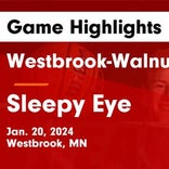 Basketball Game Preview: Westbrook-Walnut Grove Chargers vs. Red Rock Central Falcons