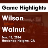 Basketball Game Recap: Wilson Wildcats vs. Rowland Raiders