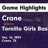 Basketball Game Preview: Crane Cranes vs. Alpine Bucks
