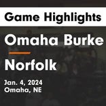 Basketball Game Recap: Burke Bulldogs vs. Papillion-LaVista South Titans