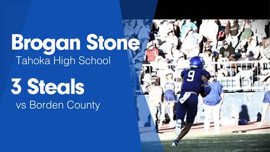 Baseball Game Preview: Tahoka Bulldogs vs. Smyer Bobcats