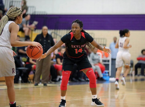 Daryn Batts, Skyline