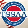 Tennesse high school baseball: TSSAA computer rankings, stats leaders, schedules and scores