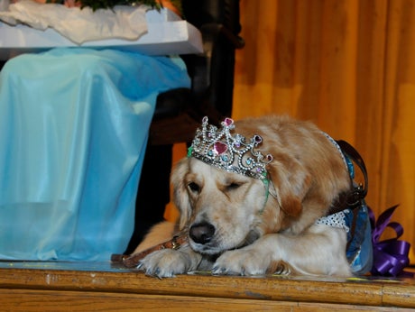 Chloe following the homecoming festivities at Lexington High on Friday. Chloe was crowned "Mini Queen."