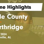 Basketball Game Recap: Northridge Jaguars vs. Central Falcons