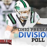 Division VII preseason football poll