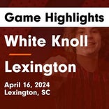 Soccer Game Recap: Lexington vs. Dutch Fork
