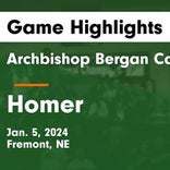 Basketball Game Preview: Homer Knights vs. Kingsley-Pierson Panthers