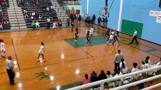 Softball Game Preview: Bertie Falcons vs. Martin County Gators