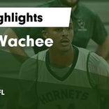 Basketball Game Preview: Weeki Wachee Hornets vs. Sunlake Seahawks