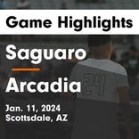 Jamison Fox leads a balanced attack to beat Saguaro
