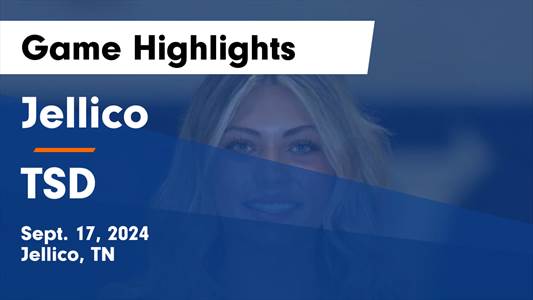 Volleyball Game Preview: 