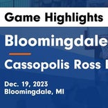 Basketball Game Preview: Bloomingdale Cardinals vs. Centreville Bulldogs
