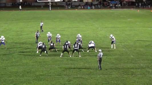 Baseball Game Preview: Buffalo on Home-Turf