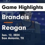 Basketball Game Preview: Brandeis Broncos vs. Lee Volunteers