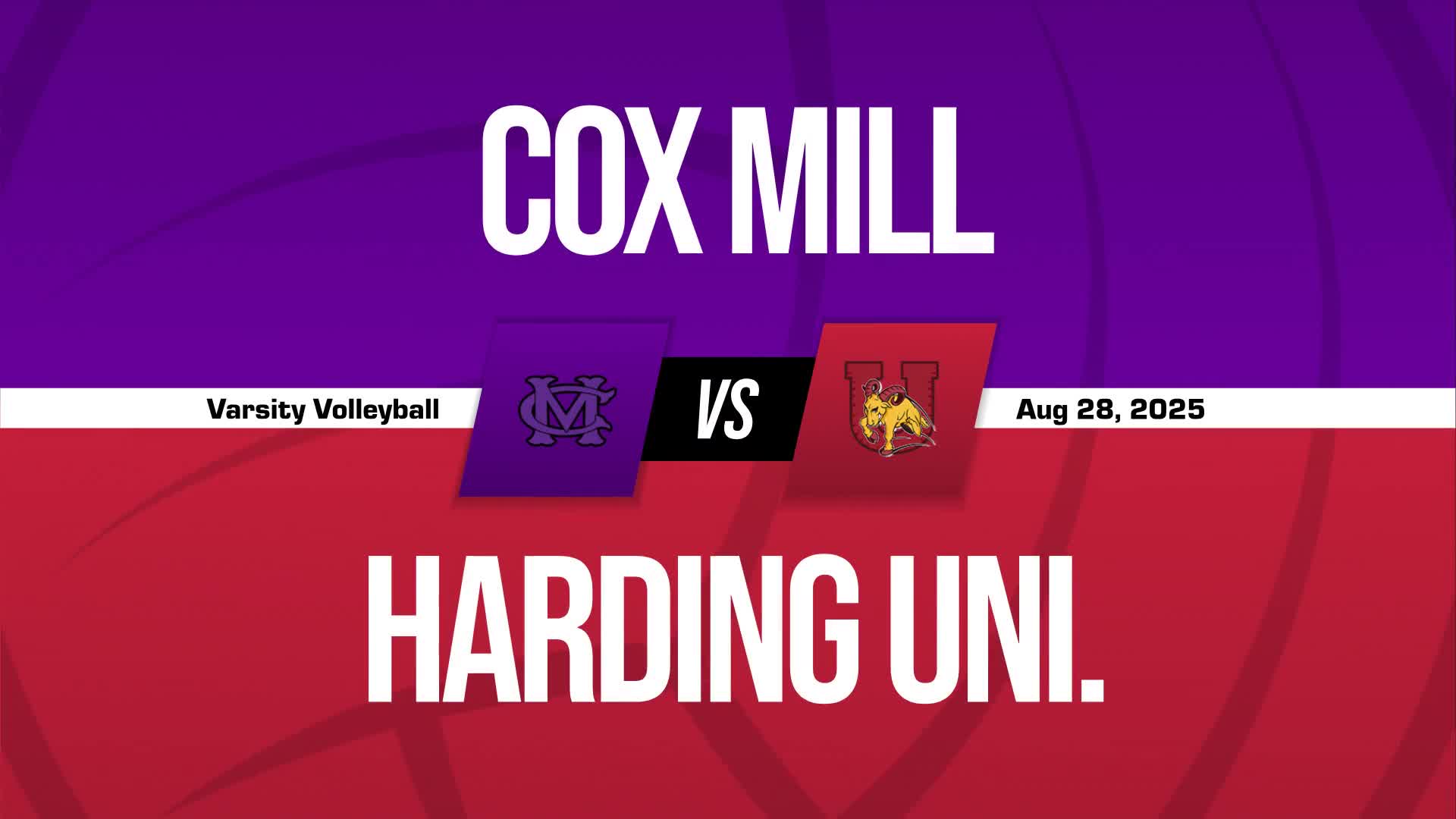 Volleyball Recap: Harding University Comes Up Short