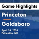 Soccer Game Preview: Princeton vs. Spring Creek